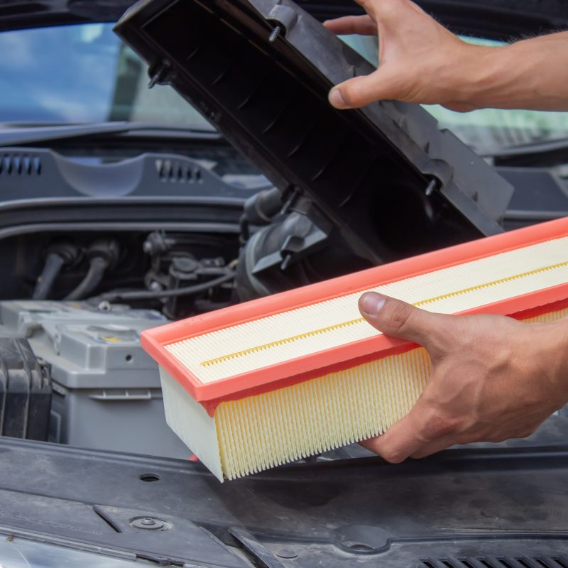 Technician changes car filter, car spare part. Car service concept.